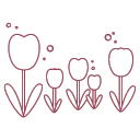 Flower Garden
